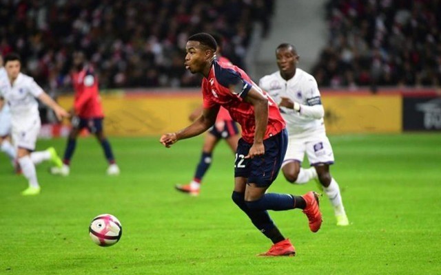 在未来的比 在未来的比